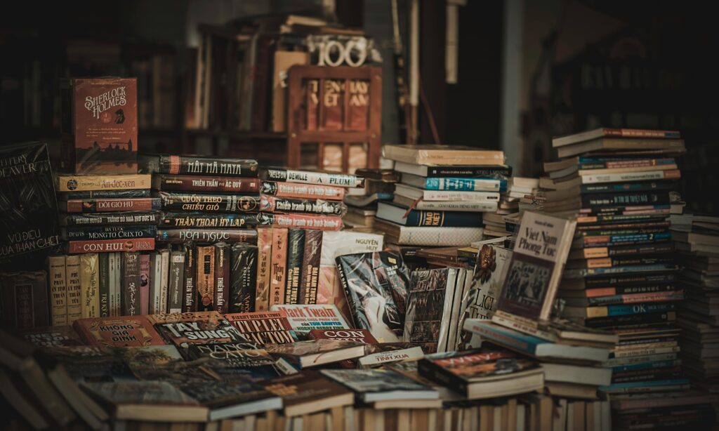 Pile of Assorted Novel Books